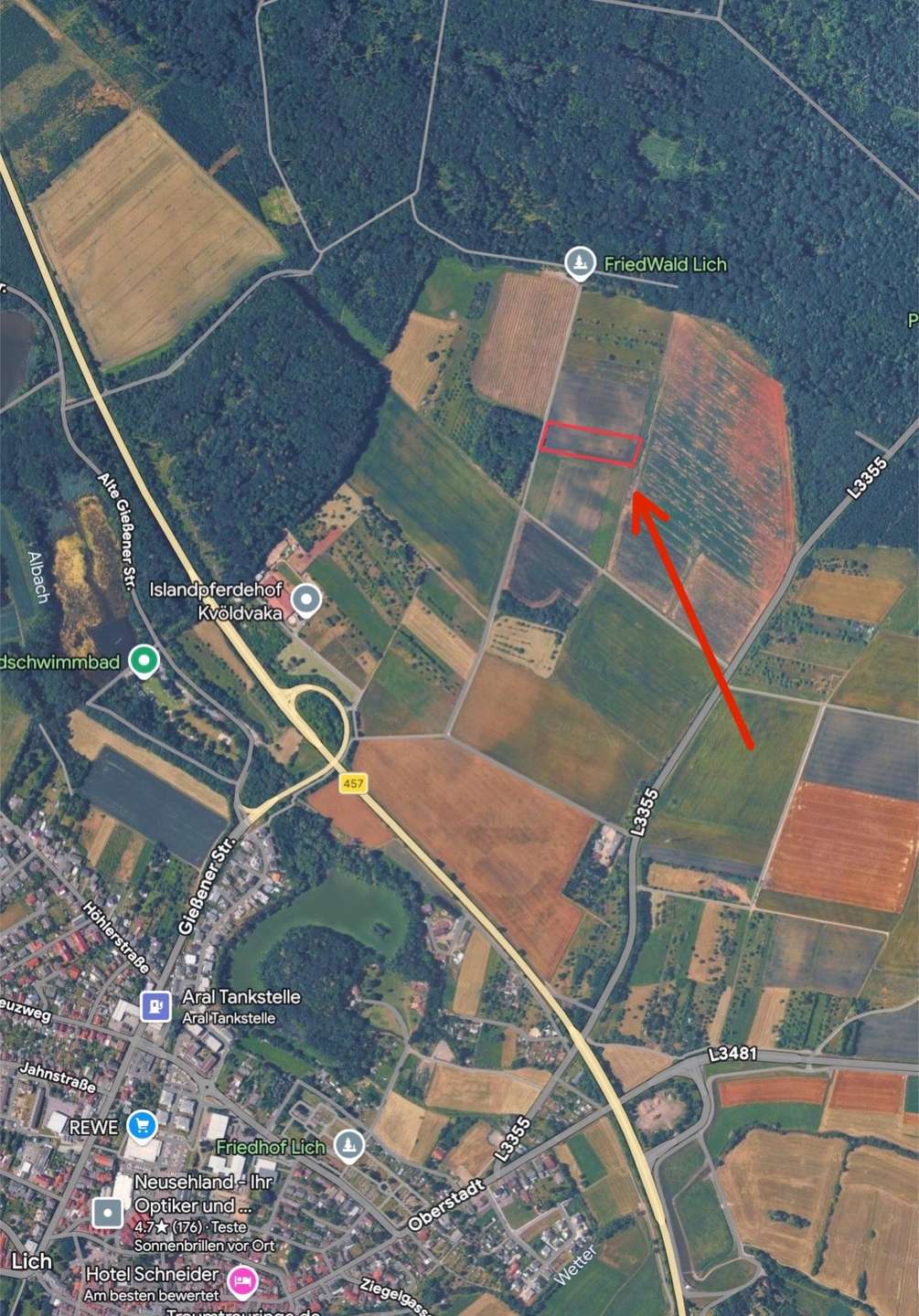 Hainbuche: Grundstück in Lich